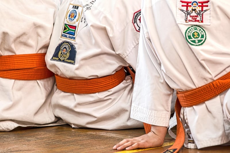 Mindful Martial Arts